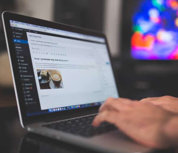 worpress-web-development-web-design-owl-image